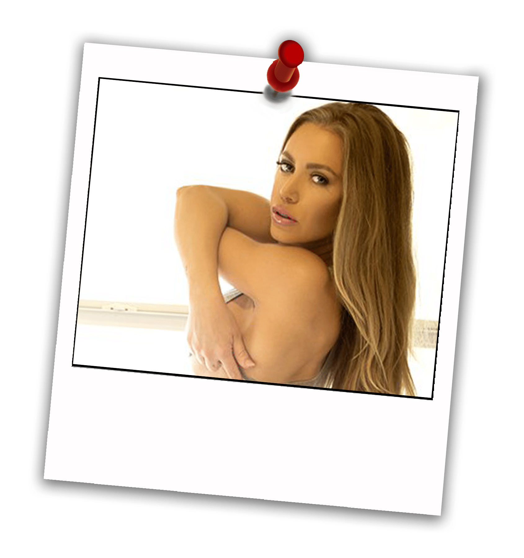 Nicole Aniston Porn Star Portrait